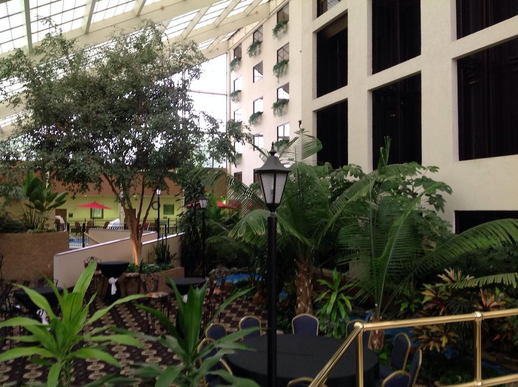 Wyndham Garden Amarillo Hotell Eksteriør bilde